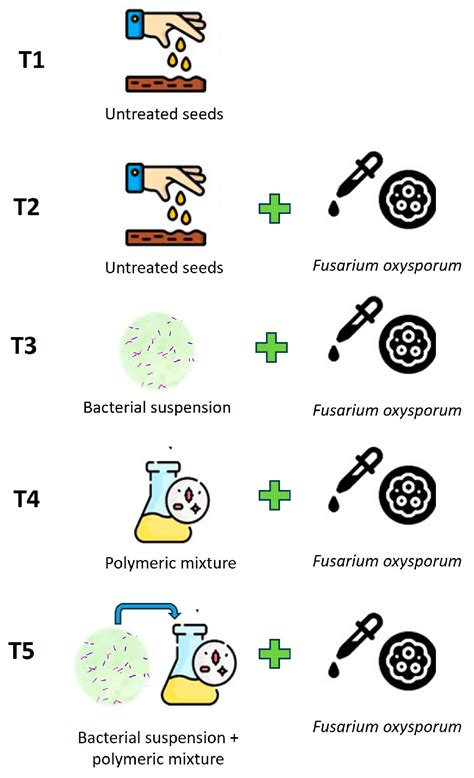 Polymers Free Full Text Biopolymers As Seed Coating Agent To