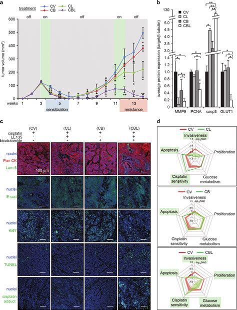 Intratumoral Injection Of Cisplatin Increases The Efficacy Of