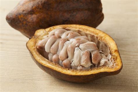 Cacao Fruit And Raw Cocoa Beans In The Pod Stock Image Image Of