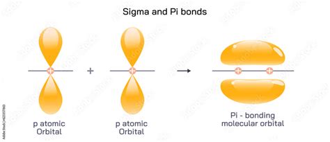 Covalent Bonds Happen When Atoms Share Electrons Sigma Bonds Are The