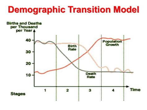 Demographic Transition Model Graph