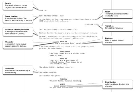 Hoe Ziet Een Script Eruit Een Kijkje In De Wereld Van Scripts