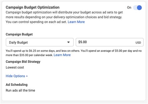 How To Set Up And Maximize Your Facebook Ad Budget