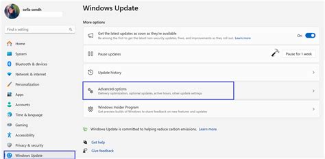 Automatische Updates In Windows 11 In Of Uitschakelen