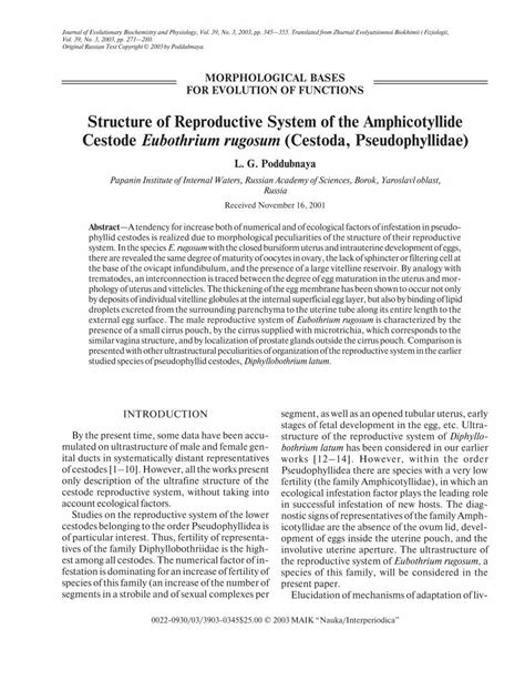 Pdf Structure Of Reproductive System Of The Amphicotyllide Cestode Eubothrium Rugosum Cestoda