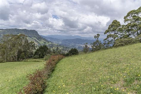 Lotes y Propiedades Promotora Venta de Lotes Parcelación la Selva