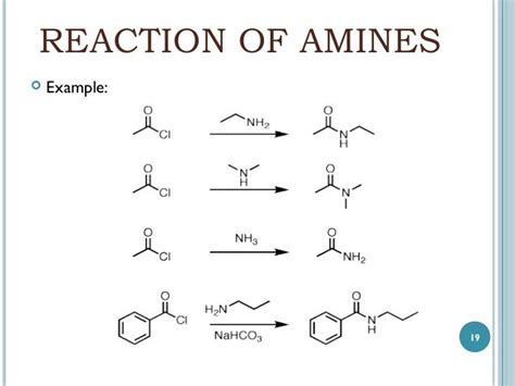 Chapter 9 amine