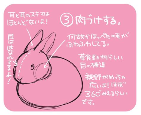 うさぎのイラストの描き方！簡単にかわいく！メイキングで解説｜お絵かき図鑑