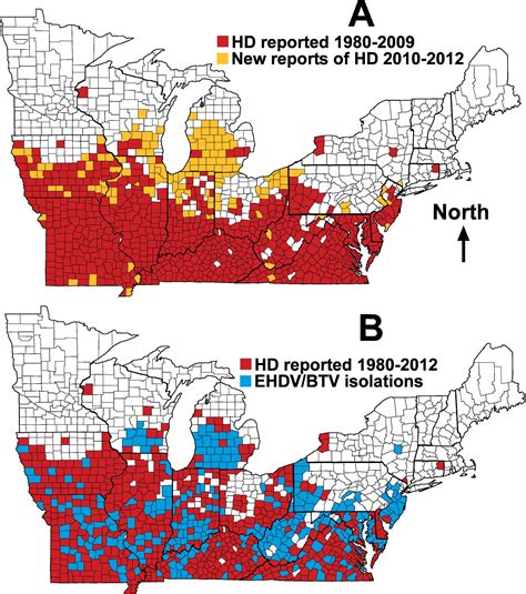 Apparent Increase Of Reported Hemorrhagic Disease In The Midwestern And