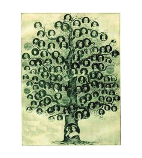 family tree in french meaning - True Column Photos