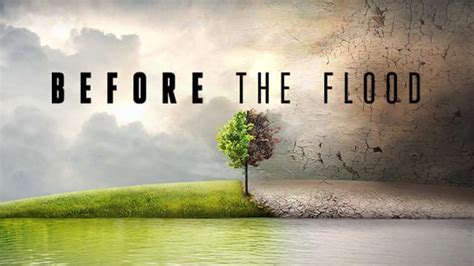 Before The Flood - Disney+ Hotstar