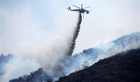 California’s Forest Mismanagement Is a Disaster | National Review