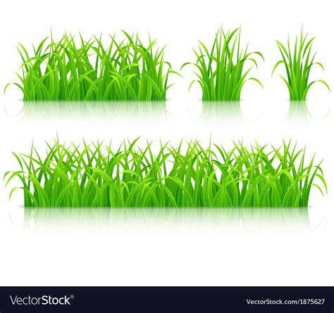 Green Grass Royalty Free Vector Image Vectorstock