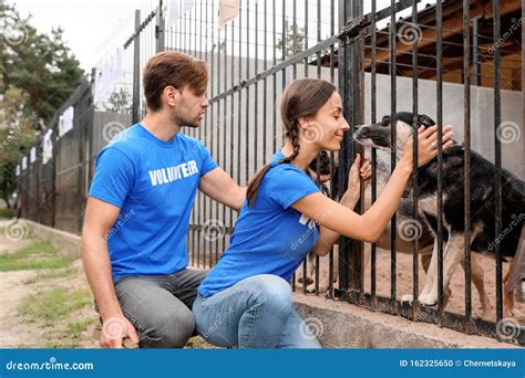 Volunteers Near Dog Cage at Animal Shelter Stock Photo - Image of cage ...