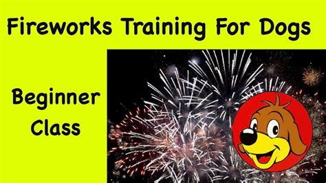 Dog Training For Firework 💖 Desensitisation To Help Dogs Cope With Loud