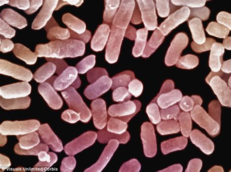 Rare Antibiotic Resistant Superbug Outbreak In The U S Has Health