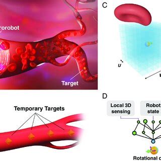 Navigation Trajectories Of A Controlled Microrobot In Blood Vessels