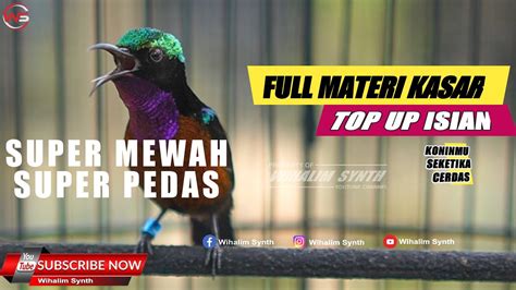 Super Mewah Super Pedas Konin Gacor Full Isian Mewah Cocok Untuk