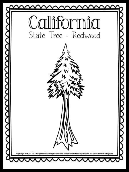 Wyoming State Tree Coloring Pages