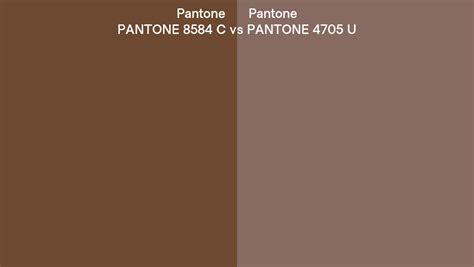 Pantone 8584 C Vs PANTONE 4705 U Side By Side Comparison