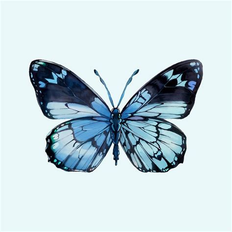 Premium Vector Water Color Vector Blue Butterfly