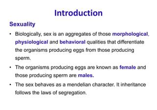 05 Sex Determination Cytoplasmic Inheritance 1 Pdf