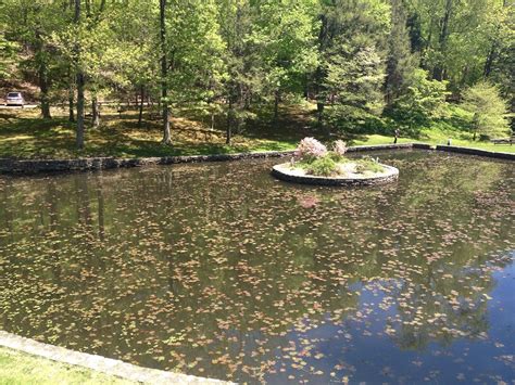 Pond At Gillette Castle Wikigillettecas Flickr