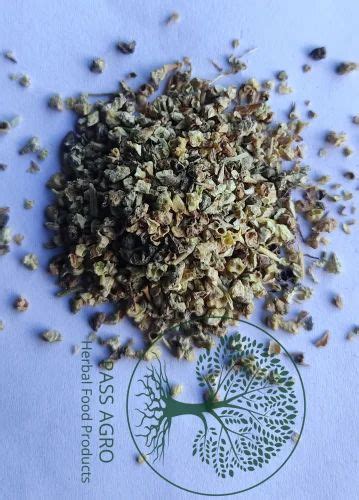 Tribulus Terrestris Gokshura Tbc At Rs Kg Herbal Extract In