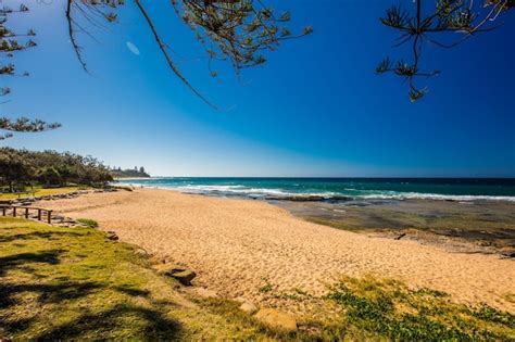 Page 16 | Tauranga Beaches Images - Free Download on Freepik