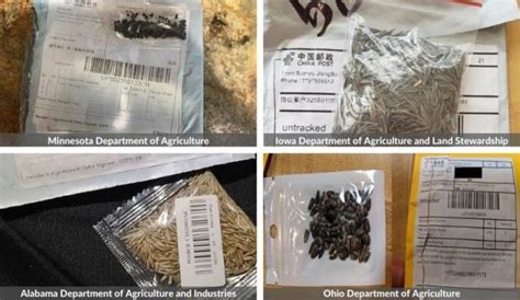 What's The Deal With Those Unsolicited Seed Packages? - Hobby Farms