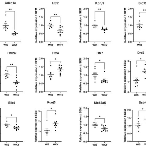 The Expression Of Mrnas In The Medial Habenula A And Lateral Habenula Download Scientific