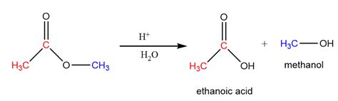 What is the product of acid hydrolysis of methyl ethanoate o | Quizlet