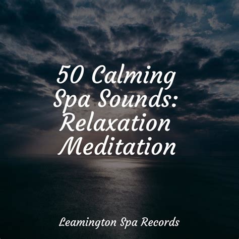 50 Calming Spa Sounds Relaxation Meditation Album By The Relaxation