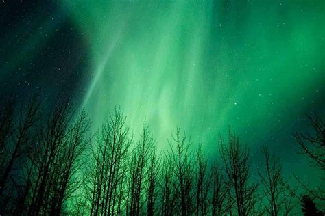 Aurora Borealis Tour at Chena Aurora View Lodge