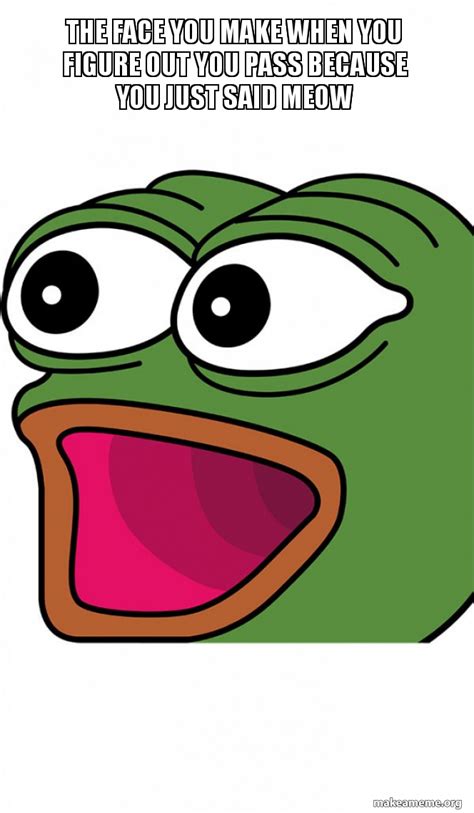 The face you make when you figure out you pass because you just said MEOW - Poggers Meme Generator