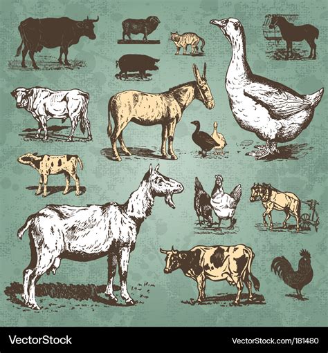 Farm animals vintage set Royalty Free Vector Image