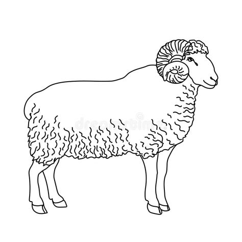 Goat Line Drawing Minimalistic Style For Logo Icons Emblems