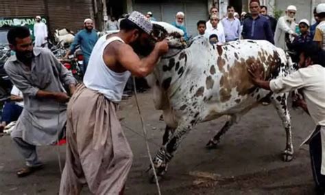 Eid Ul Adha Was Celebrated With Non Secular Fervor Within The Nation