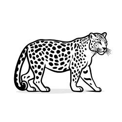 Jaguar Face Clipart Black And White