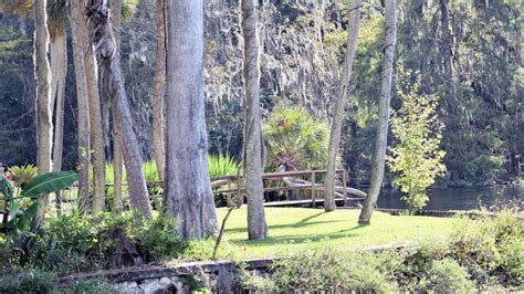 Guide To The Best Things To Do In Silver Springs State Park In Ocala