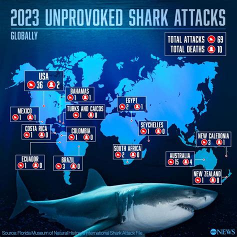 This state saw the most unprovoked shark attacks in 2023, study shows