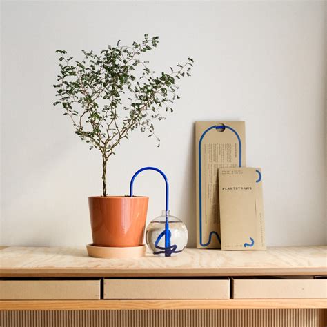 Plant Straws Small – plantstraws