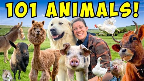 Morning Chores FARM TOUR! | Meet All My Animals! - YouTube