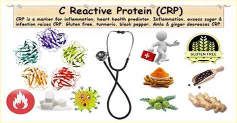 C Reactive Protein Function C Reactive Protein And Hs Crp Blood Test