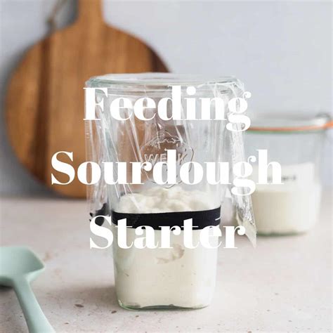 how much to feed sourdough starter