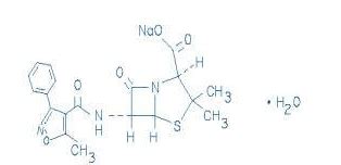 Oxacillin - wikidoc