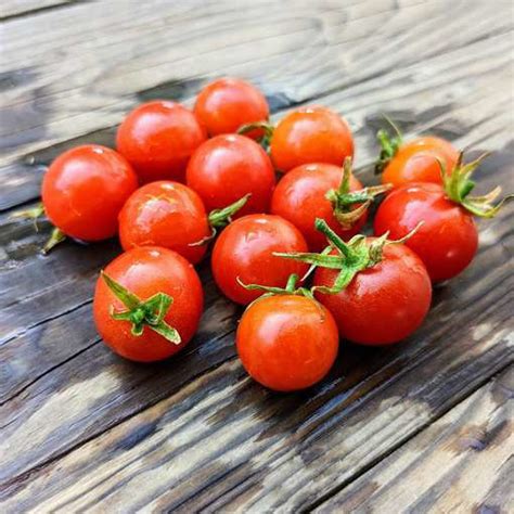 Tiny Tim Tomato Meraki Seeds