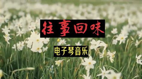 高音质dj版纯音乐《往事只能回味》旋律优美动听，请欣赏！ 音乐视频 搜狐视频