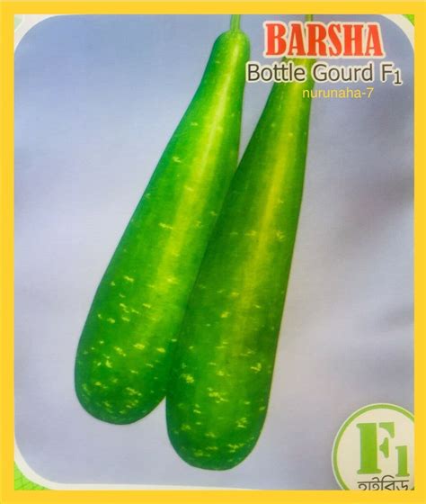 Indian Bangladeshi Vegetable Lauki Big Pani Kodu Doodhi 10 Seeds