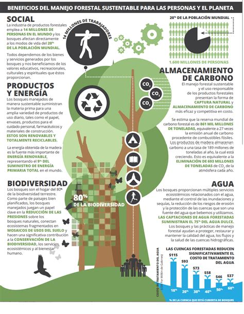 Infografia Deforestacion Google Search Deforestacion Cumbre